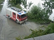 Der Treppelweg entlang der Donau wurde schnellstmglich gereinigt, bevor die Schlammmassen zu trocknen begannen.