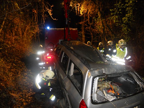 Freiwillige Feuerwehr Krems/Donau - PKW ber Bschung - Menschenrettung in Langenlois