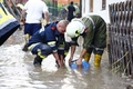 Feuerwehr Krems / Manfred Wimmer